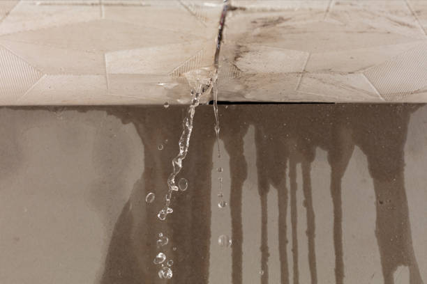 Professional Water Damage Inspection technician working in Monson, ME